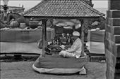 We wandered around there for ages taking pictures of the gardens and the monuments. I found his old gentleman sitting in a temple area looking very regal & like he was mediating so I endeavoured not to disturb but on closer inspection he was reading the newspaper. It looked so funny but I guess this was his home and despite all of us invading tourists this was his time to relax. The fact is this temple region in essence is a holy place for these deeply religious people but their lively hood depends on the thousands of tourists who flock to see them like an attraction. This is their lot in life and they share it with many on a daily basis.  : by mrsgee, Views[410]