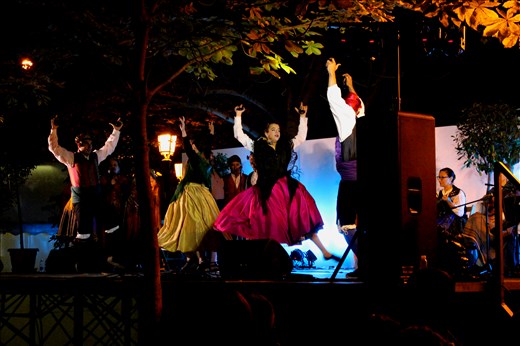 Logrono wine festival 2014