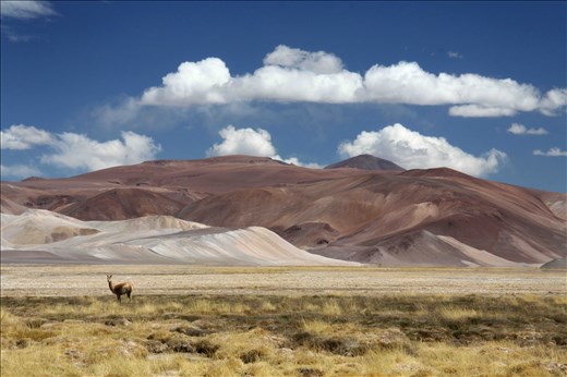 As we penetrated deeper into the unknown, for we didnt know where we were going, we came across these stunning vistas. The guanaco in this image was some of the wildlfie we encountered. 