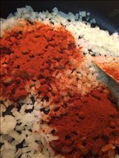 Onions, garlic and paprika: by mskatieevans, Views[295]