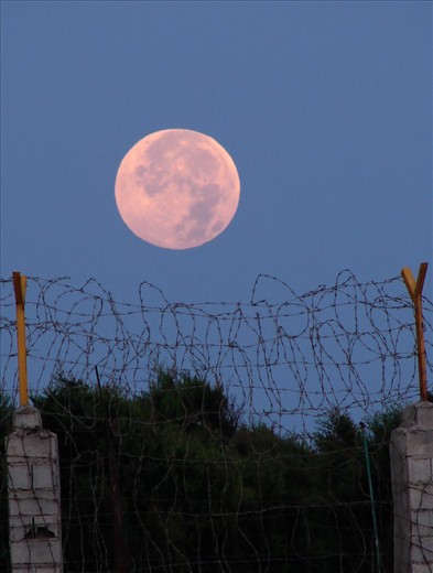 Morning of liberty, taken in Caspian sea coast