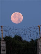 Morning of liberty, taken in Caspian sea coast: by msol, Views[319]