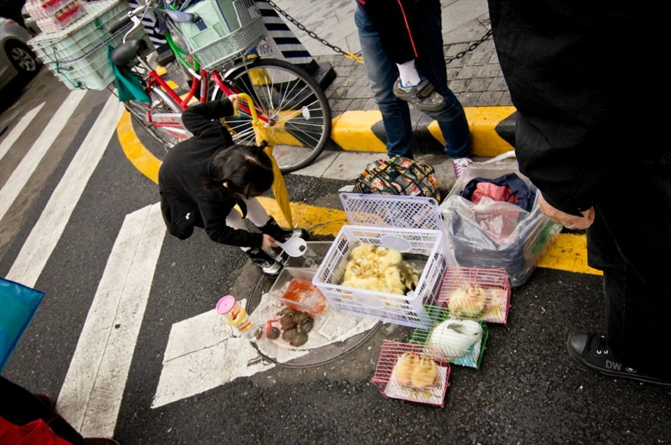 Near a public elementary school a vendor invading the street selling pet animal. This little girl is choosing her pet turtle.