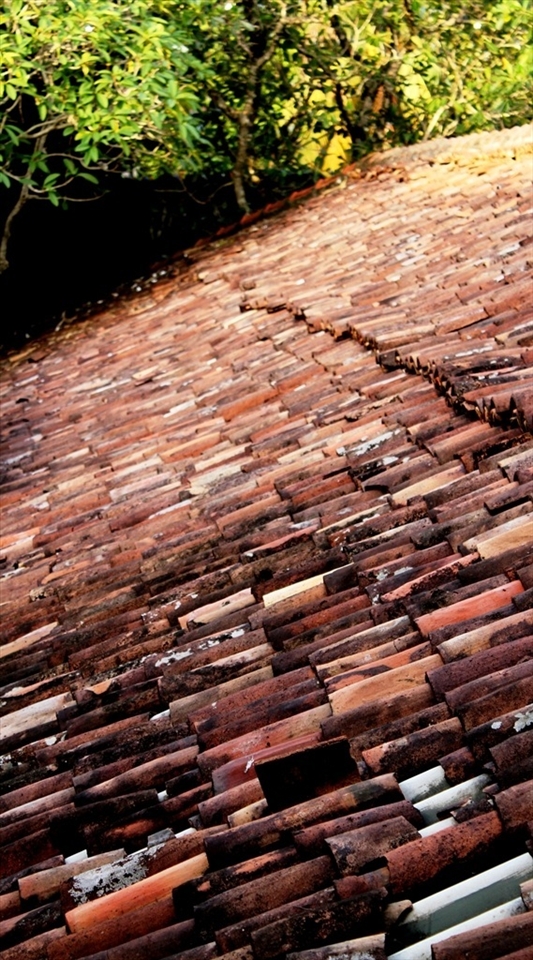 A tiled roof having a varied pallet of shades in red brown