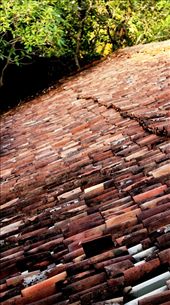 A tiled roof having a varied pallet of shades in red brown: by mthakoor, Views[359]
