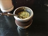 Yerba Mate: by mtmmeyer, Views[853]