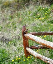 by mtmmeyer, Views[246]