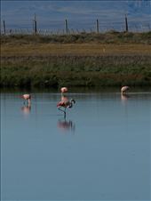 by mtmmeyer, Views[166]