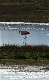 by mtmmeyer, Views[143]