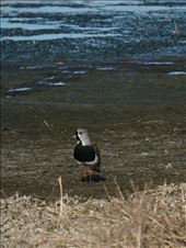 by mtmmeyer, Views[149]