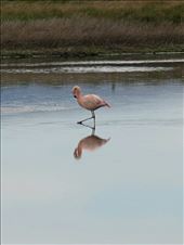 by mtmmeyer, Views[235]