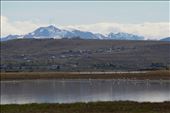 Flamingos n Patagonia?: by mtmmeyer, Views[147]