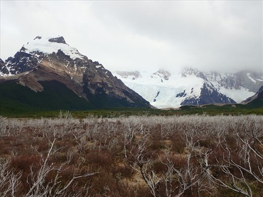 Because it's only spring, the forest took on an interesting quality