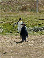 by mtmmeyer, Views[199]