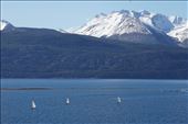 Sailing school: by mtmmeyer, Views[176]