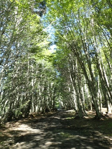 Walk along the river