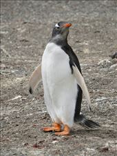 by mtmmeyer, Views[194]