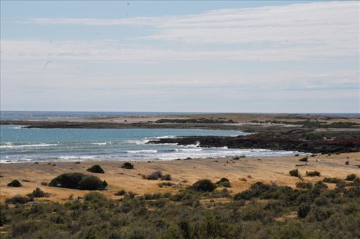 This vast area is home to South America's largest Magellanic penguin colony