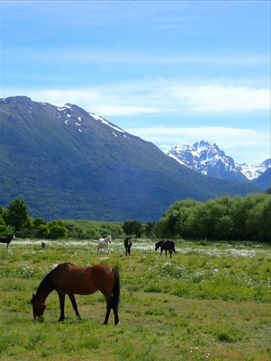 Lago Puelo National Park