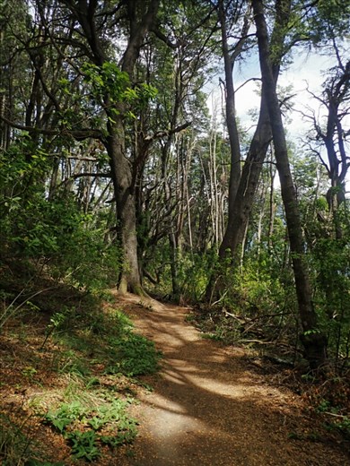 Hike to Llao Llao lookout