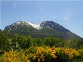 In the Andes: by mtmmeyer, Views[122]