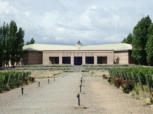 Wine and art come together at Salentein