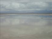 Not water but reflection off the salt at Salinas Grandes: by mtmmeyer, Views[117]