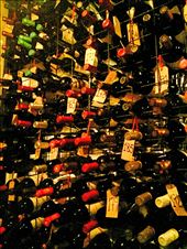 Free wine cellar tour while we waited at Don Julio: by mtmmeyer, Views[156]