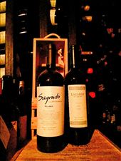 by mtmmeyer, Views[145]