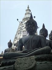 by mtmmeyer, Views[165]