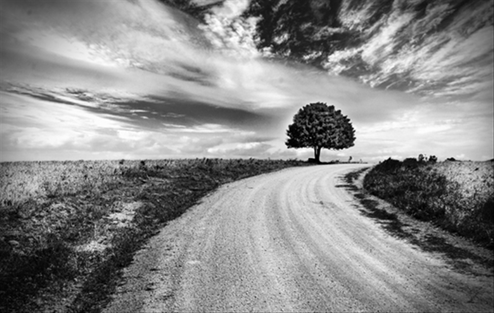 Taking the back roads around farming land can always be beautiful