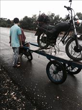 by mtzivan, Views[279]