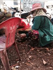 by mtzivan, Views[140]