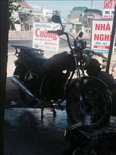 by mtzivan, Views[119]