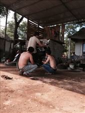 by mtzivan, Views[131]