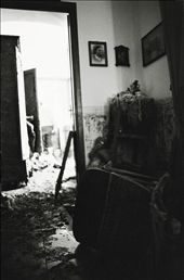 Mud and memories laying as skeletons of the present: by muddy_water, Views[226]