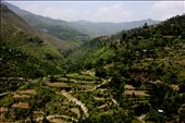 going to hieght of Malam Jabba,Pakistan and try to find the way: by mufleha, Views[464]