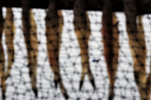 the dried fishes ..n the boats for the next catch..