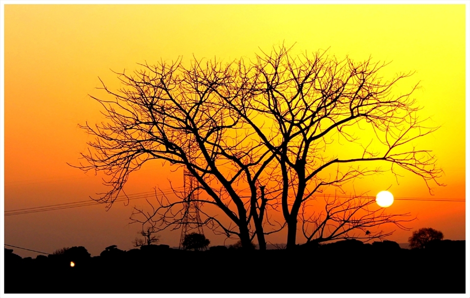 Make your own sunshine. Capture for life at - Rewa, Madhya Pradesh, India