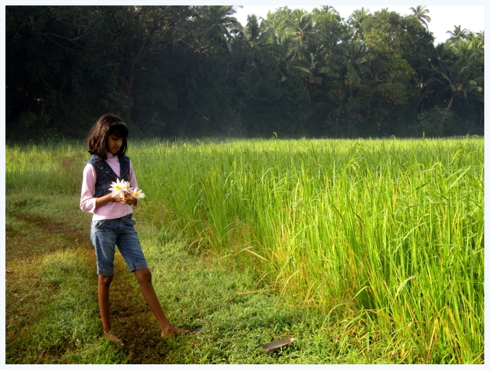 The never ending fields. The shy smile. The poise. The elegance. Girls will be girls!  Captured for life at my village, Aajgaon, Sawantwadi, Maharashtra, India. 