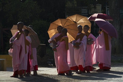 Young female monks enjoying afternoon sunlight before getting ready for lunch