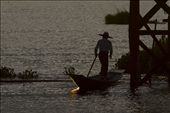 Fisherman at Inle Lake using the last light before going home: by muriel_c, Views[277]