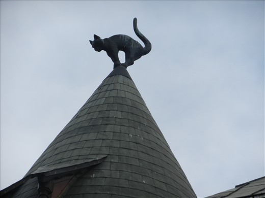 This is one of the cats on the top of the Cat House!