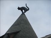 This is one of the cats on the top of the Cat House!: by musicaladventures, Views[576]