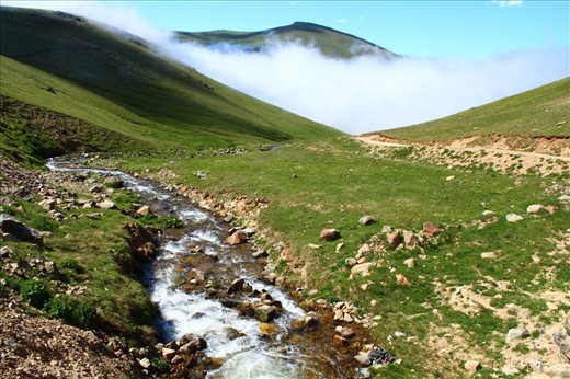 water, grass and clouds