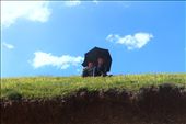 brothers under umbrella: by mustafa, Views[147]