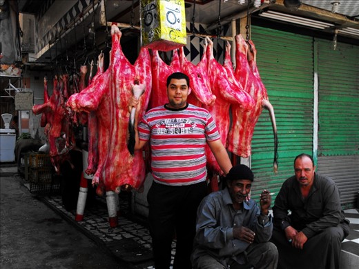 I'm walking through the same Street market in Suez city. People look at me (clearly not a muslim girl) and then at my photo camera. Tis guy asks if I'm a photographer. I'm slow to answer cause it's been only four months since the egyptian revolution and I could be mistaken by some enemy journalist or something not pleaseant. I just smiled shyly and then he gets near to the cows and says 