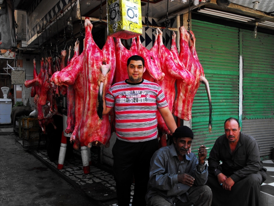 I'm walking through the same Street market in Suez city. People look at me (clearly not a muslim girl) and then at my photo camera. Tis guy asks if I'm a photographer. I'm slow to answer cause it's been only four months since the egyptian revolution and I could be mistaken by some enemy journalist or something not pleaseant. I just smiled shyly and then he gets near to the cows and says 