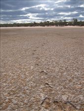 by mutly40, Views[336]