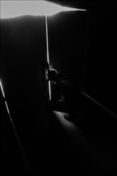 At the end of the day Ted shuts the horses in the barn and calls it a day: by mw_out_of_office, Views[568]